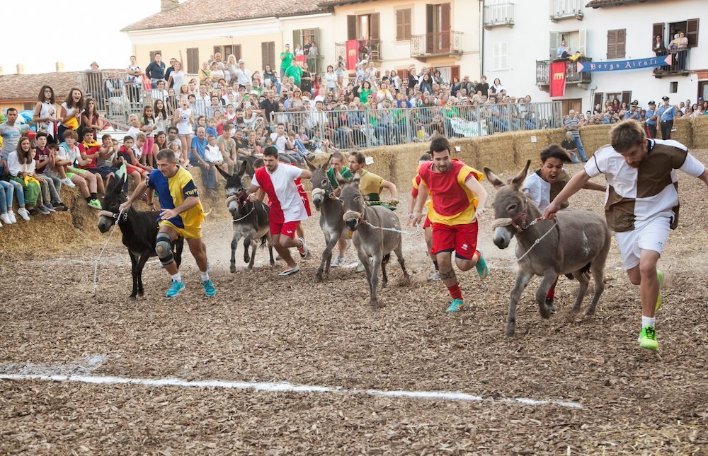 Runners racing with their donkeys through the piazza at the Palio degli Asini in Cocconato