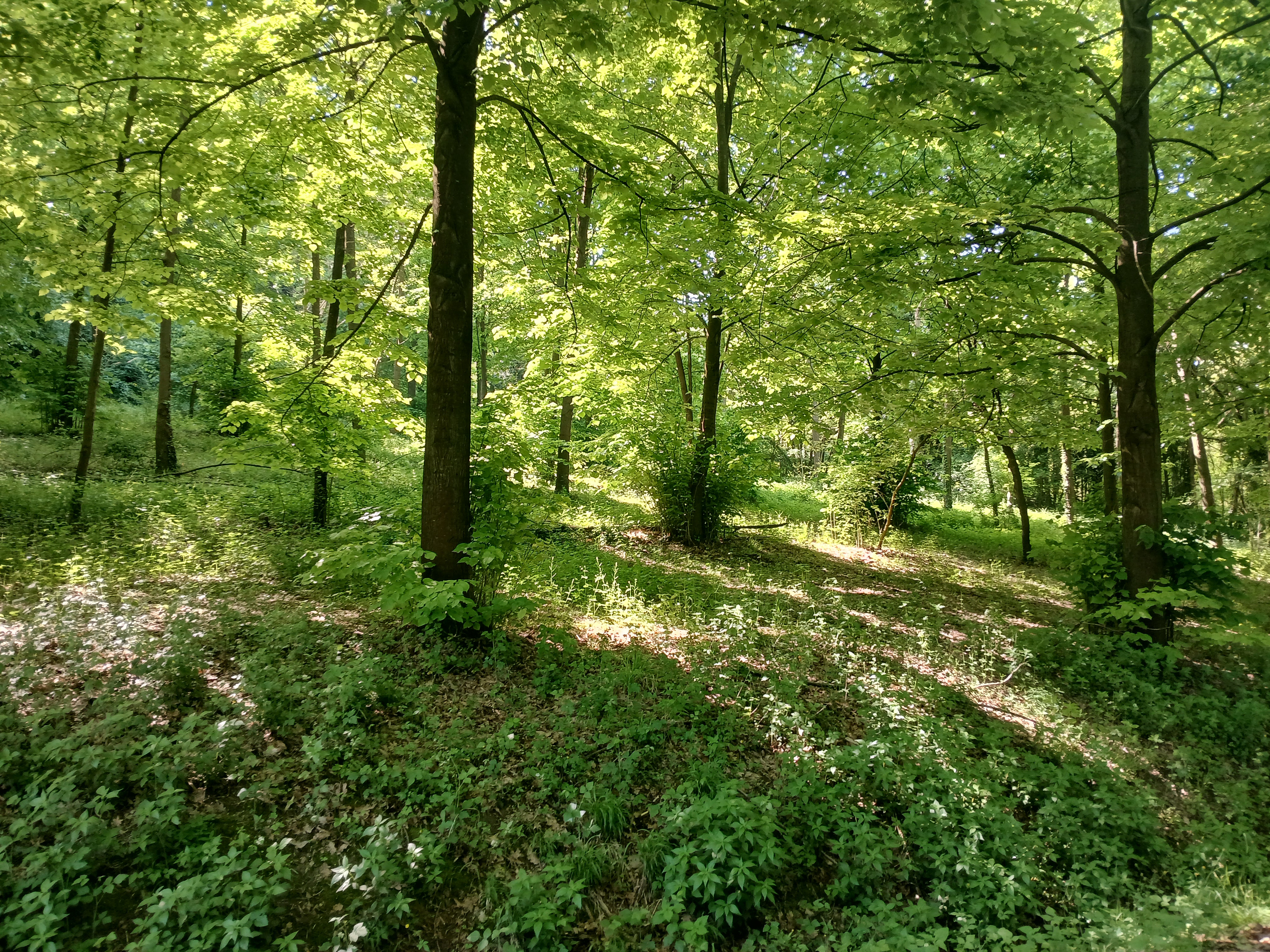 Riserva di Valleandona